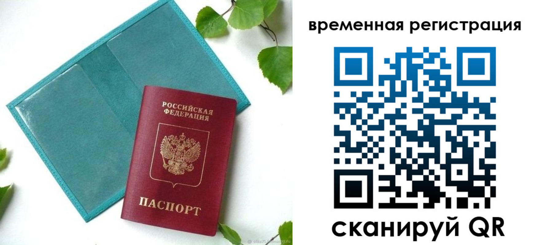 прописка иностранных граждан в Светлогорске
