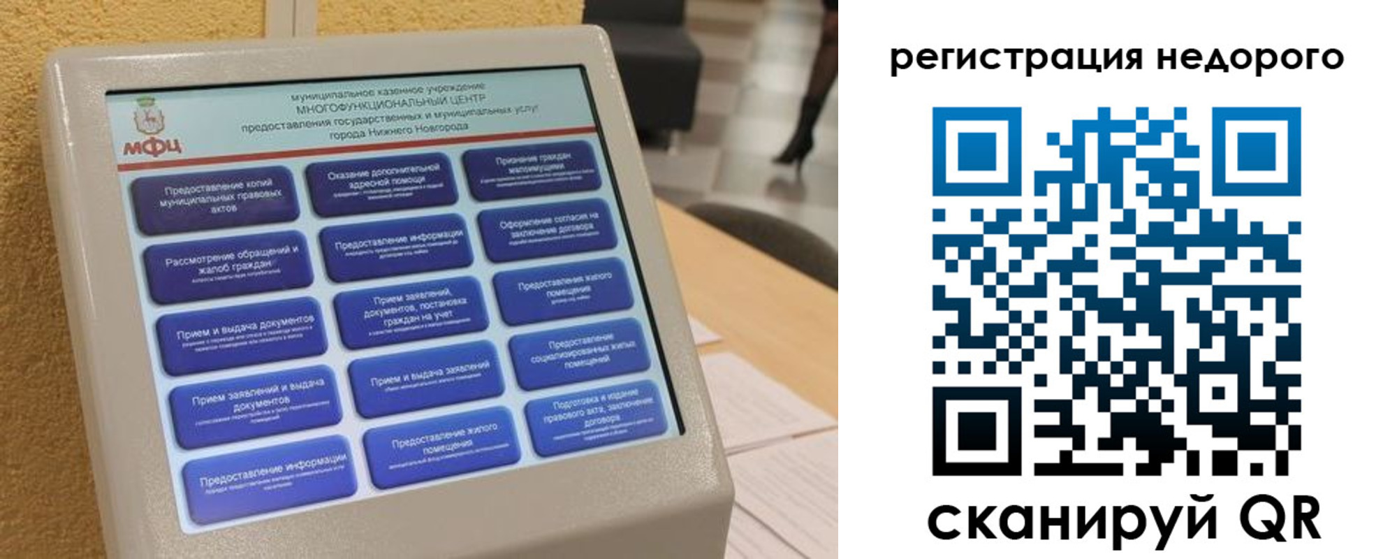 прописка гарантия в Светлогорске